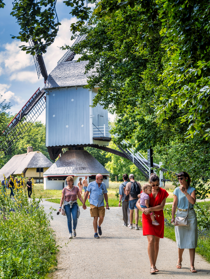 Ticket voor het Openluchtmuseum van Bokrijk 2024