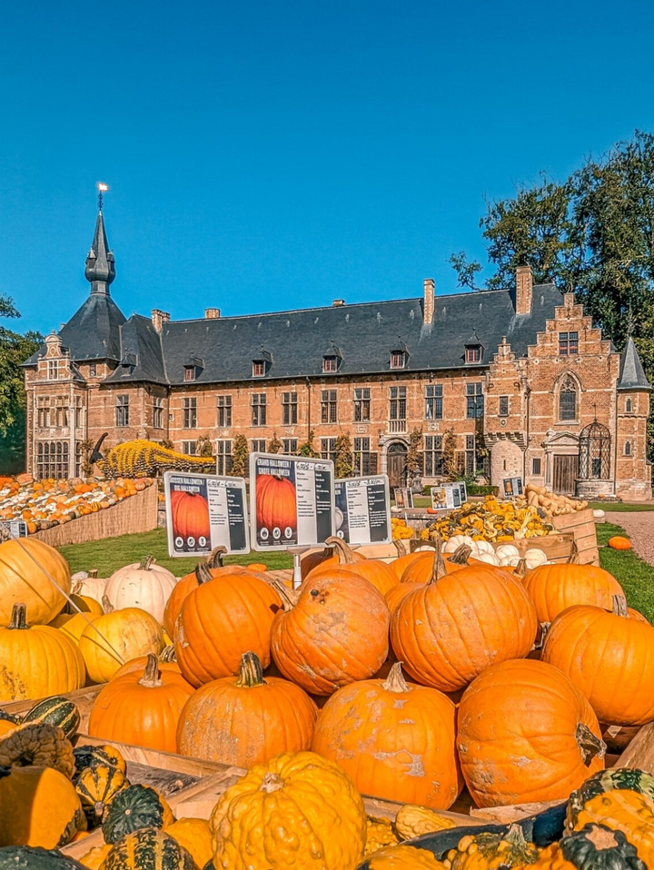 Ticket volwassene voor Pumpkimania